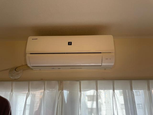 IMG_1528.jpeg