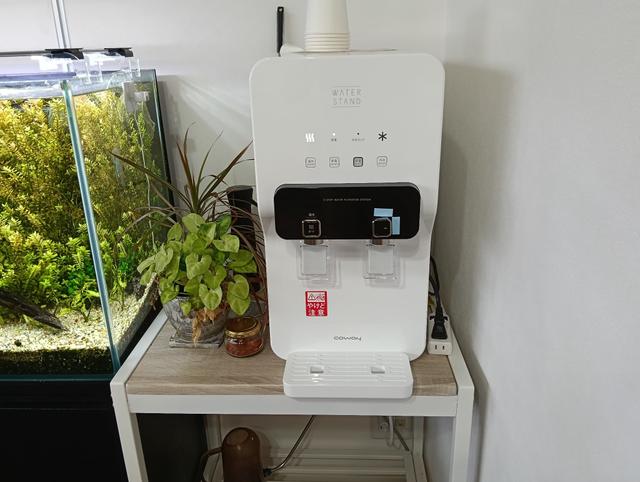 IMG20250616140742.jpg