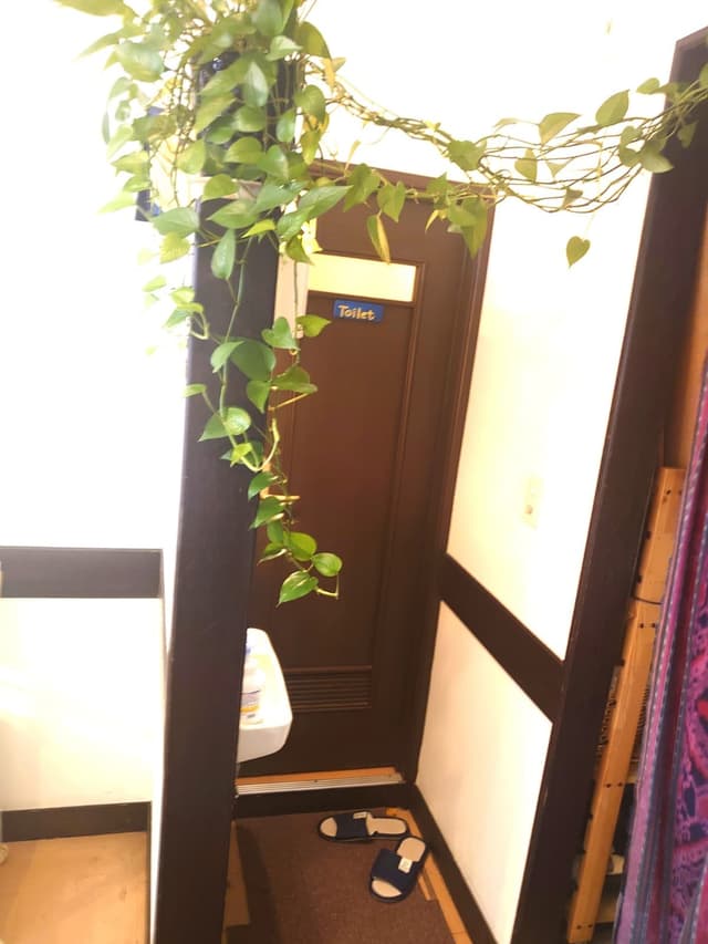 æ°å°å²©äºä¸ç®ï¼ãã¤ã¬å
¥å£.jpg