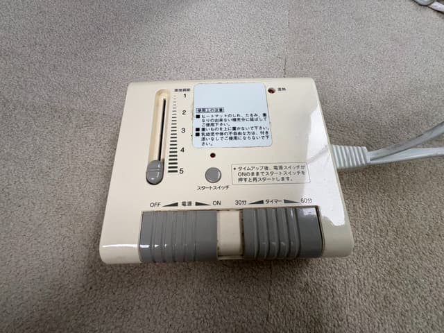 ãå¤§æ¿ å
¬åè¦³ææ©åºããã¼ããããã¹ã¤ãã.jpeg