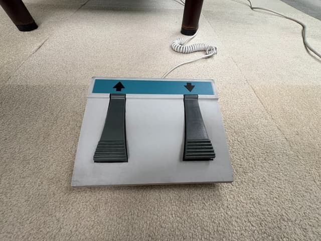 ãå¤§æ¿ å
¬åè¦³ææ©åºãåå.jpeg